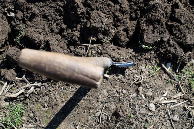 Digging up Buried Treasures